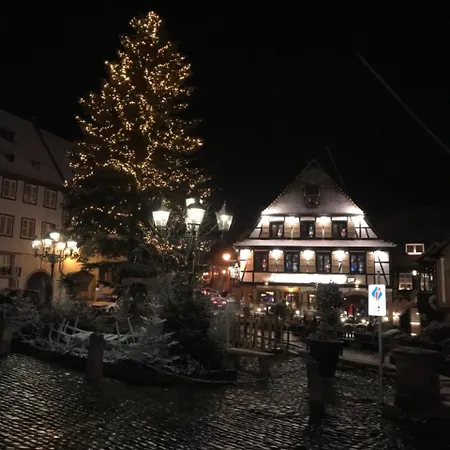 Szálloda Restaurant Le Brochet