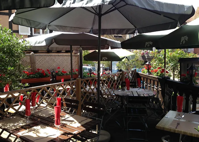 מלון Restaurant Le Brochet 3*