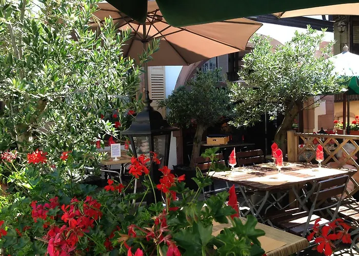 Restaurant Le Brochet 3* בר